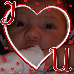 Meet your Posher, Donald